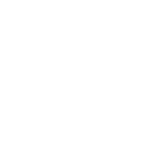 SECURITY